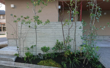 杉型枠打ち放し仕上げの塀と植栽の画像