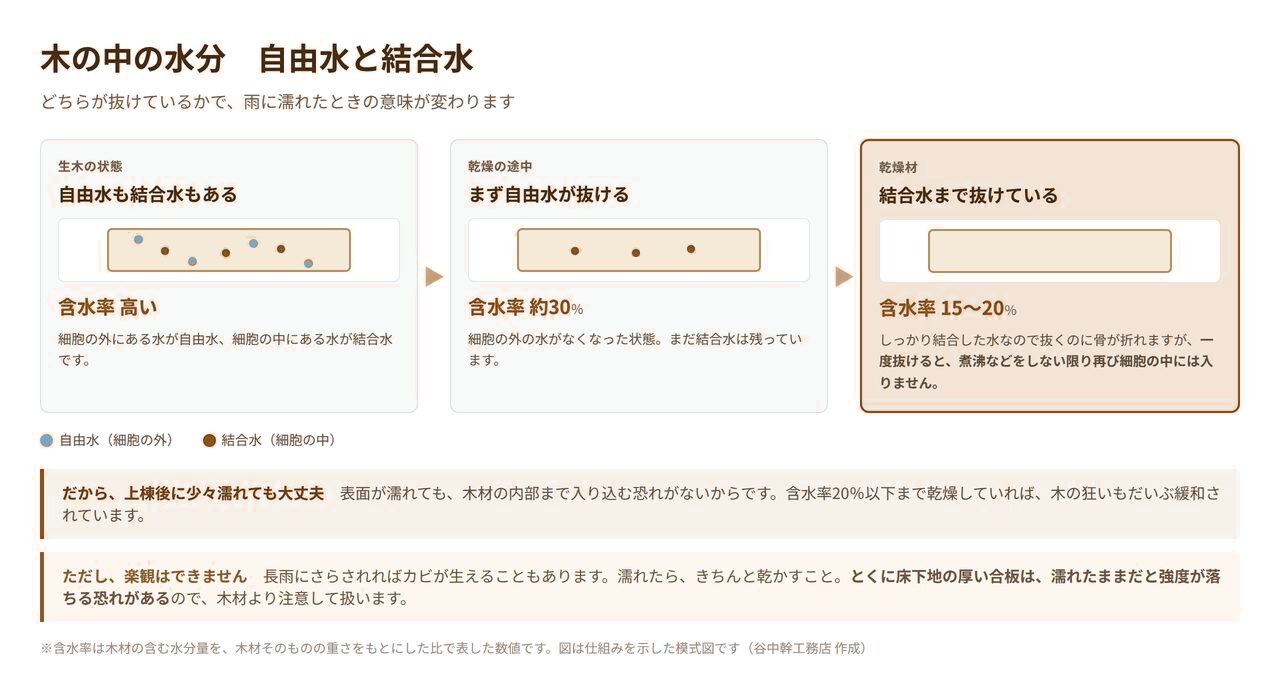 木材の中の自由水と結合水の違いを示した図解。乾燥にともなって自由水が抜け含水率30%、結合水まで抜けて15〜20%になる