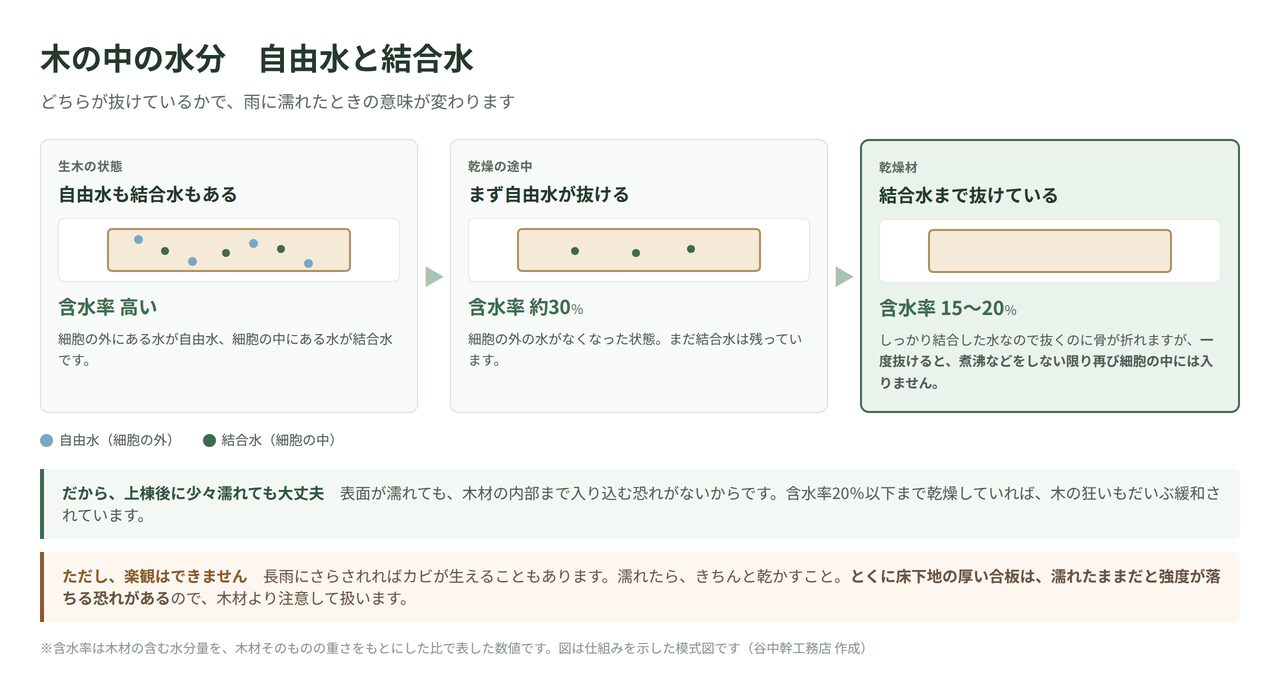 木材の中の自由水と結合水の違いを示した図解。乾燥にともなって自由水が抜け含水率30%、結合水まで抜けて15〜20%になる